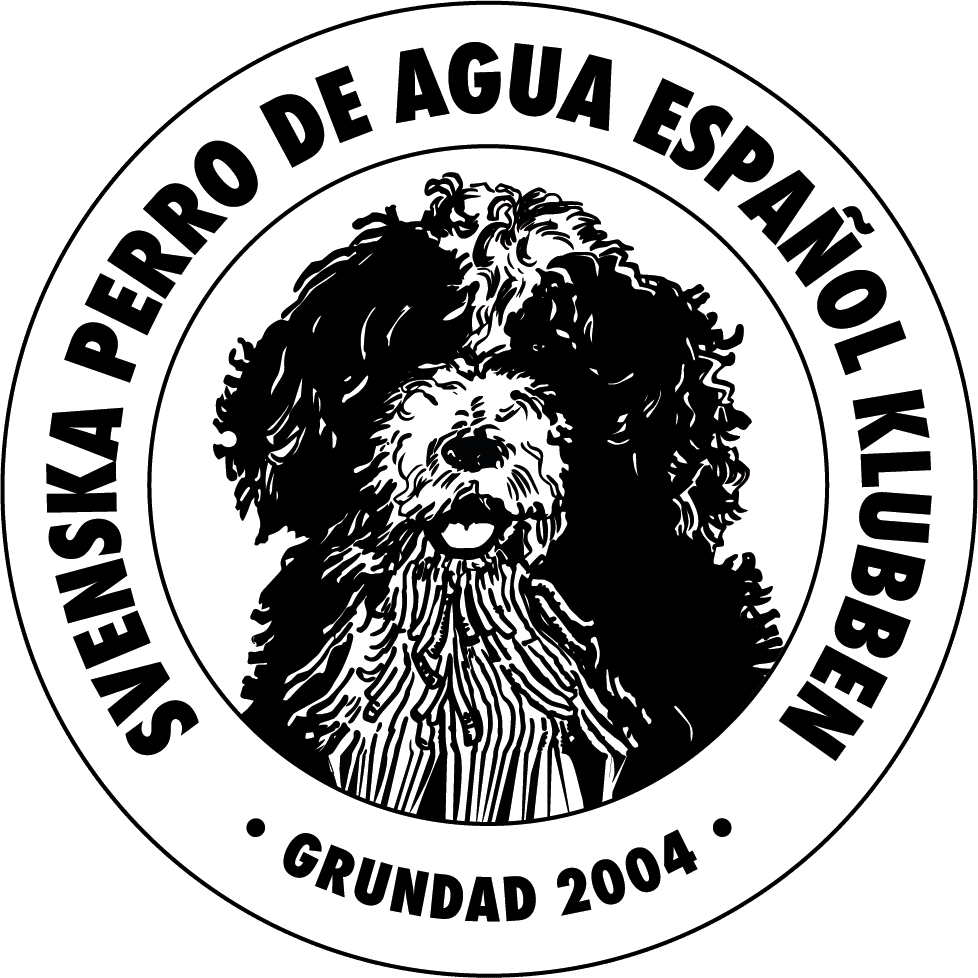 Perro de Agua Español klubben