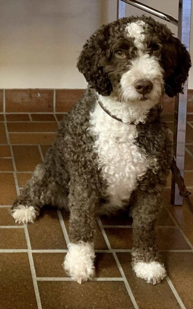 Arinzanos Casadiella